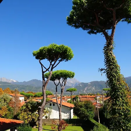 Olive Dei Marmi Semesterbostad Forte dei Marmi