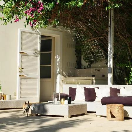 Olive Dei Marmi Forte dei Marmi