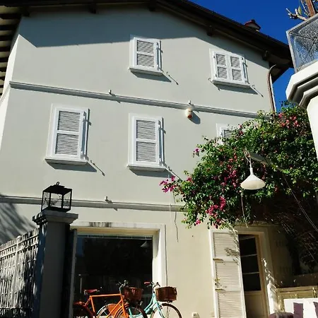 Olive Dei Marmi Holiday home