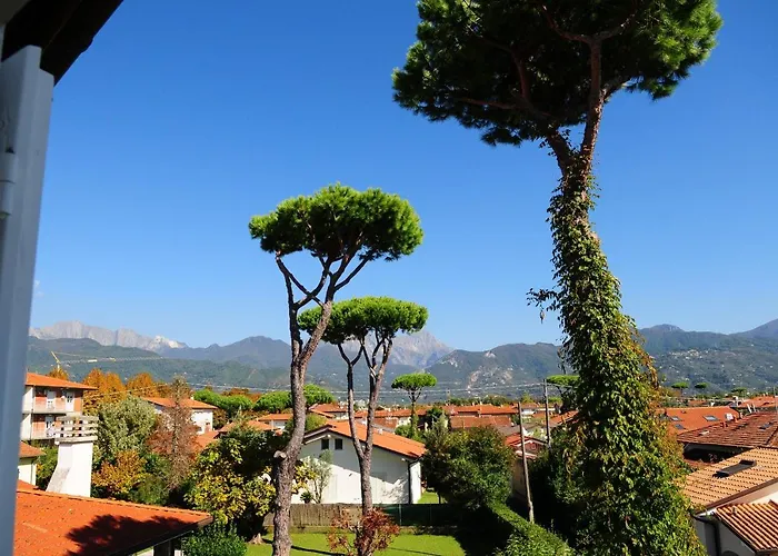 Olive Dei Marmi Semesterbostad Forte dei Marmi