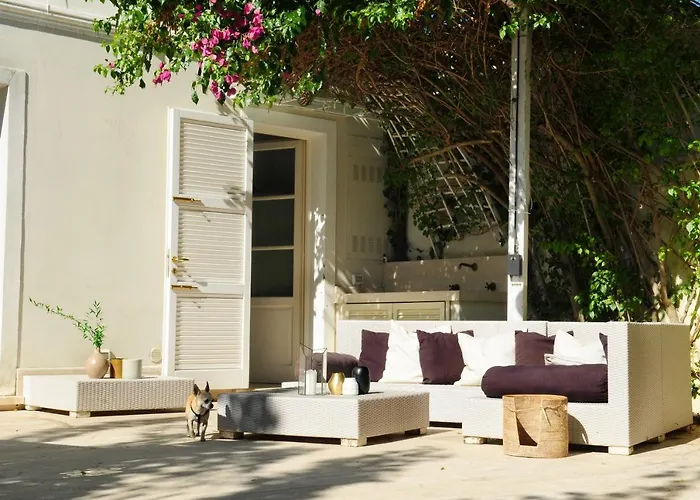 Olive Dei Marmi Forte dei Marmi