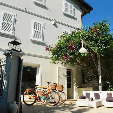 Olive Dei Marmi